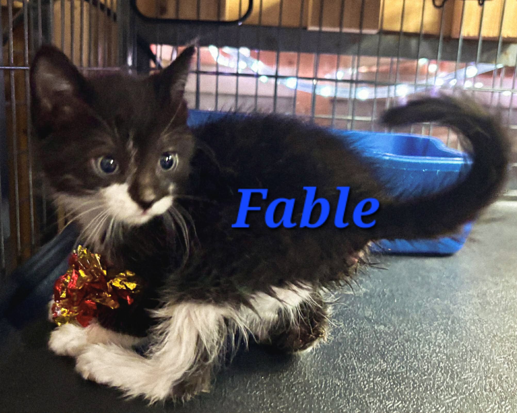 Fable