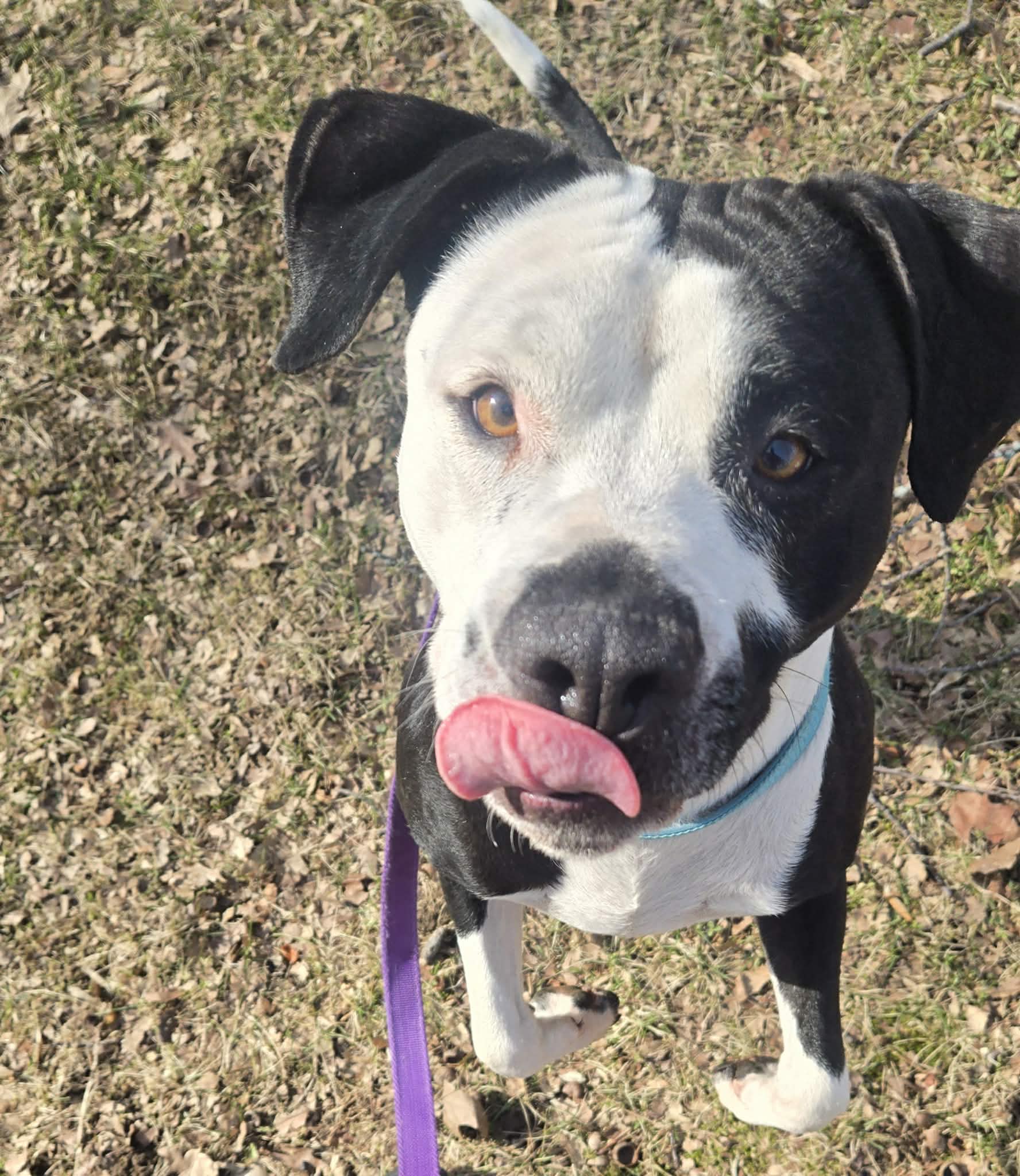 Kaiya: Adopt or Forever Foster