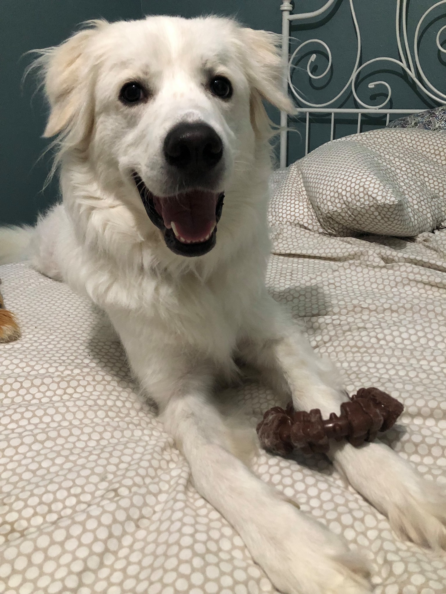 Zoey Yvette AKA Findley