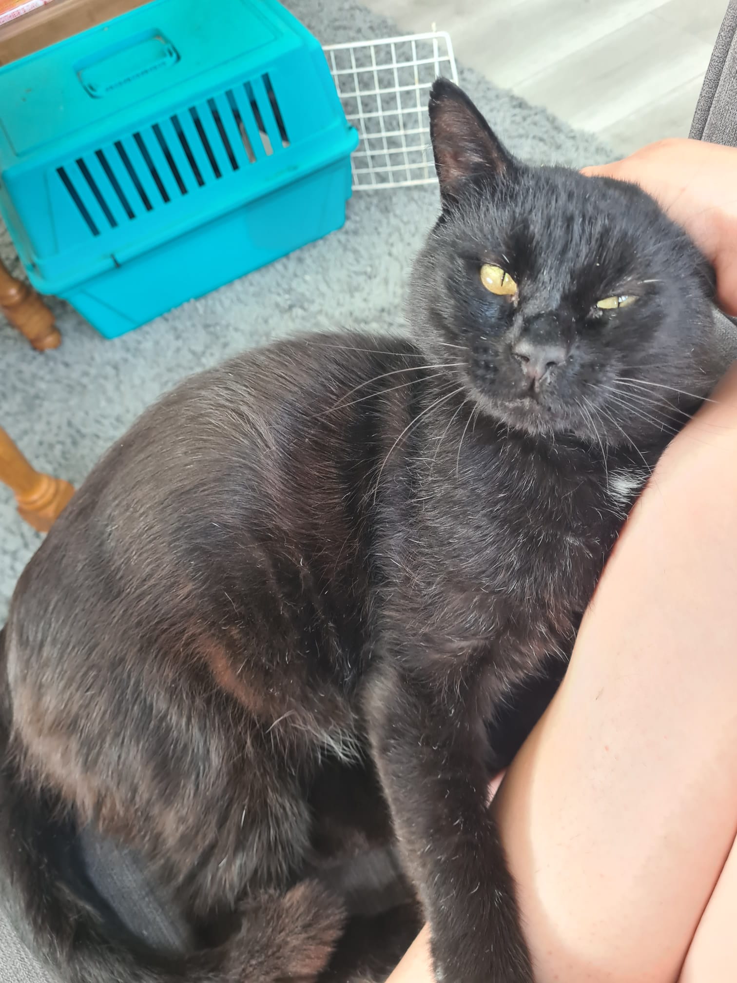 Binx