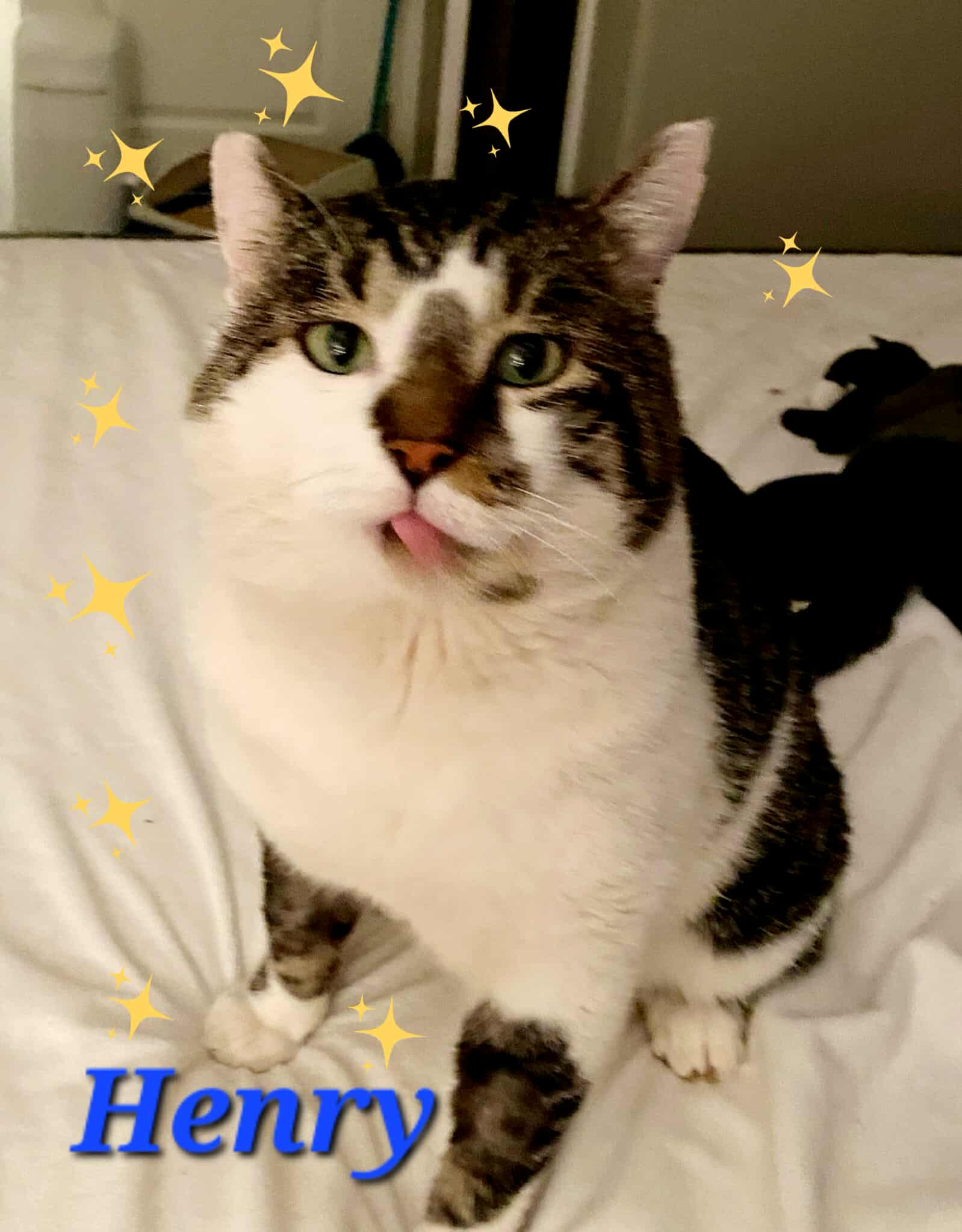 Henry
