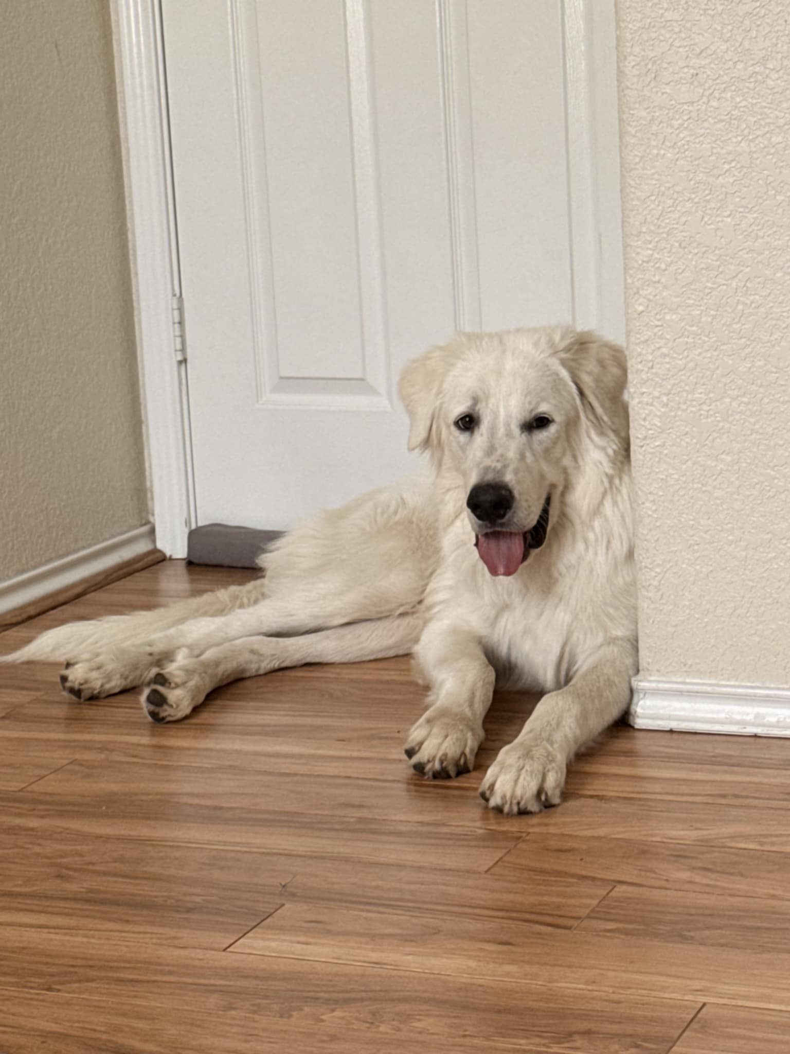 Otis