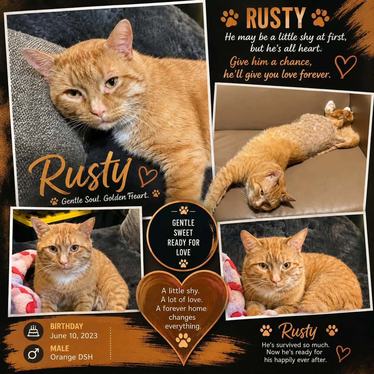Rusty