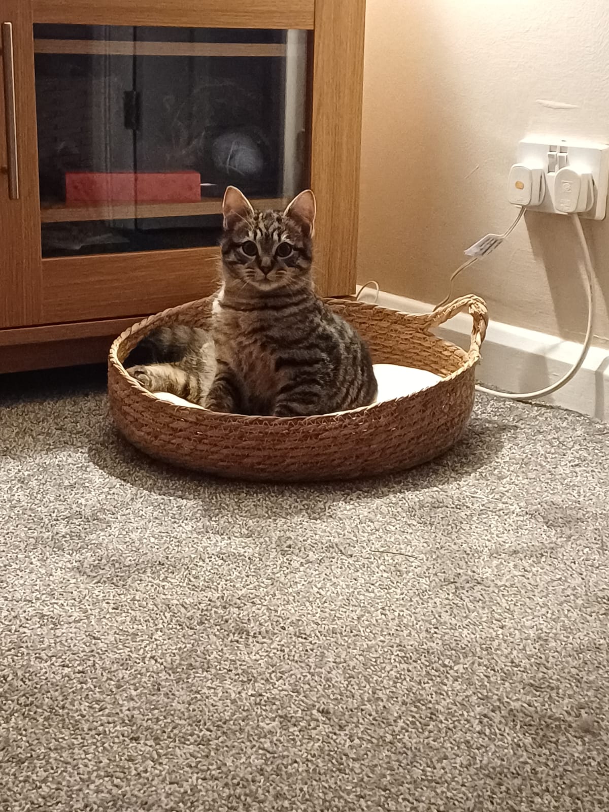 Nala