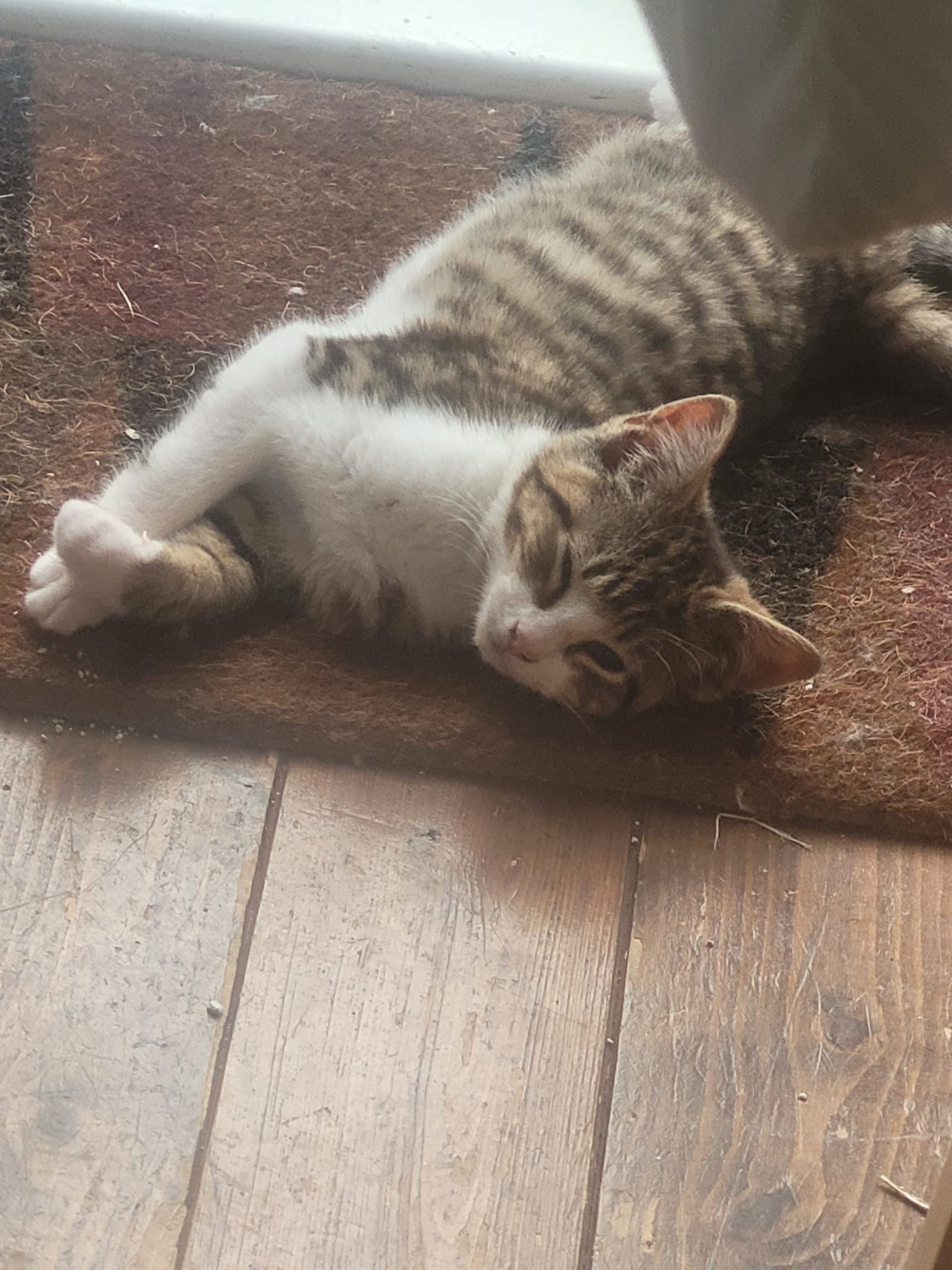 Archie
