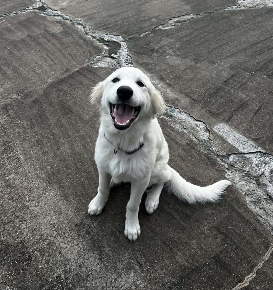 Zoe