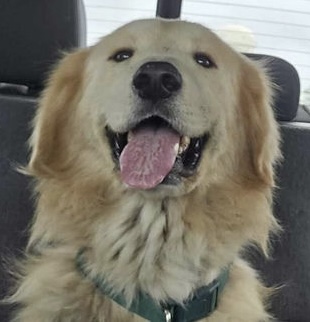 Augustus "Augie"