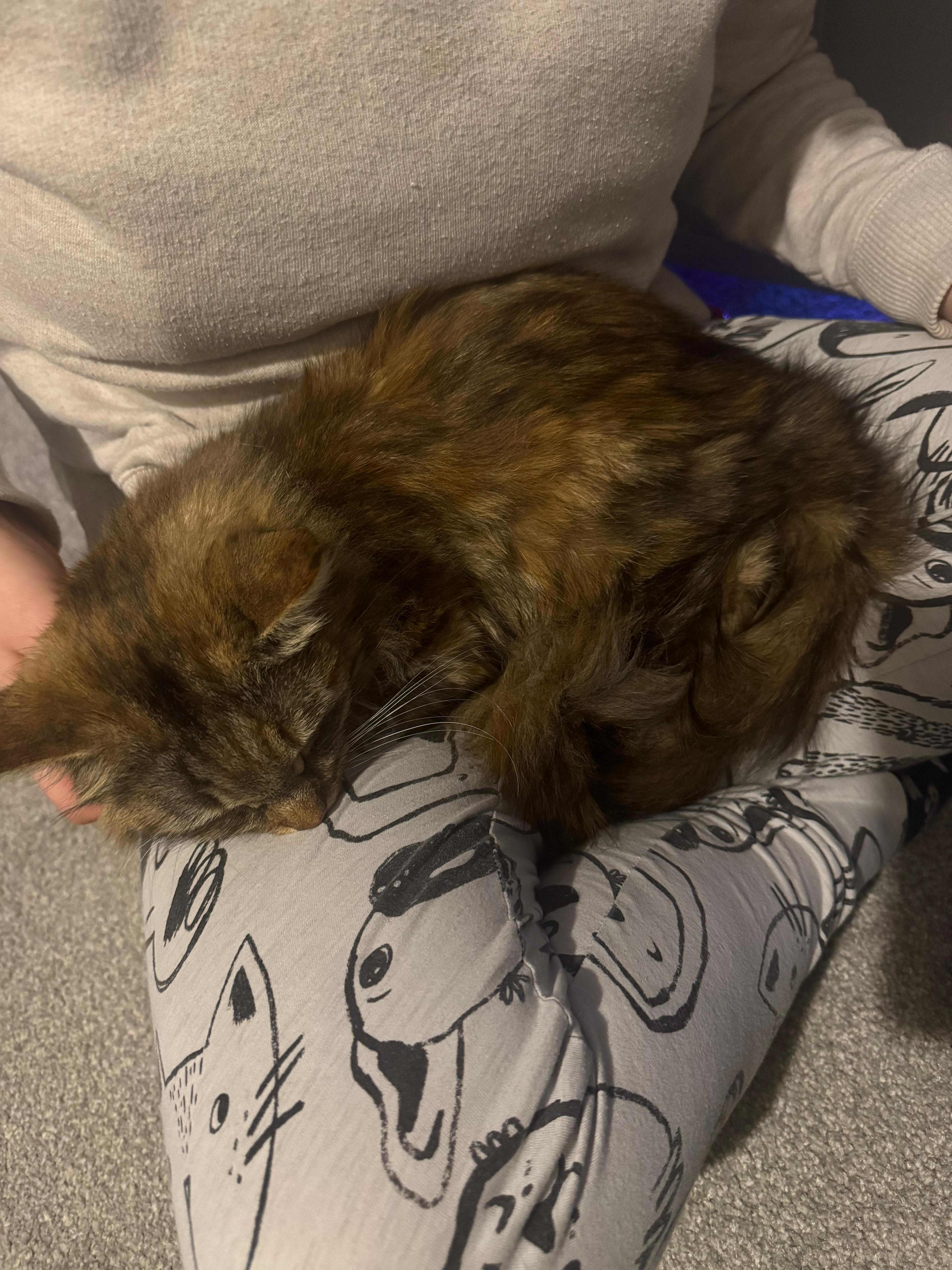 Coco