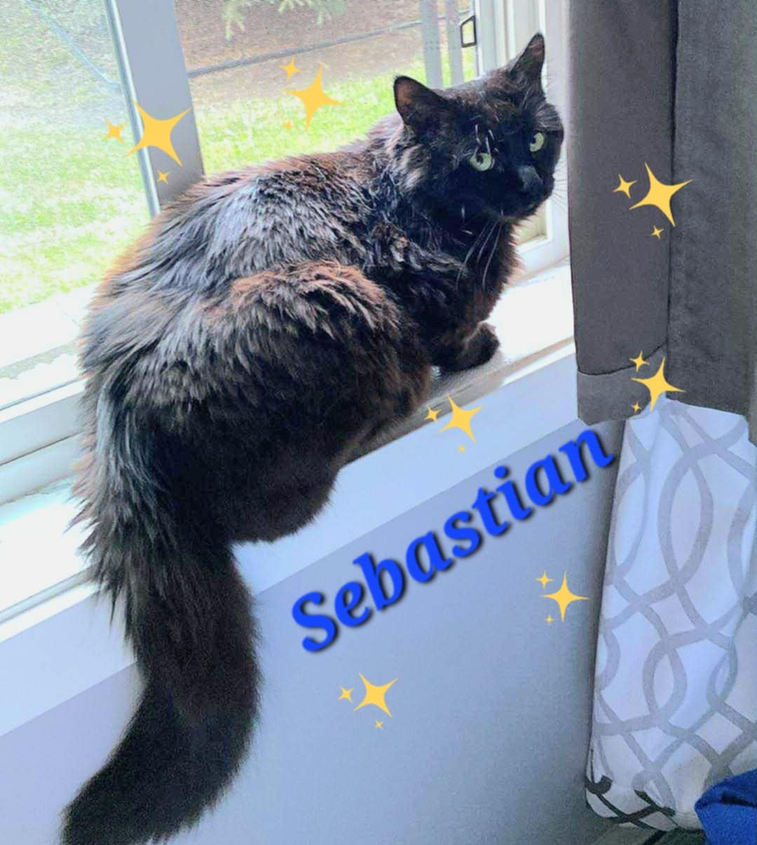 Sebastian