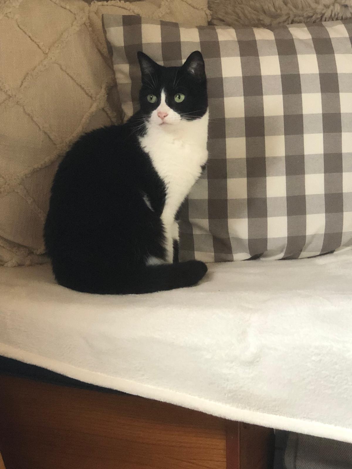 Sophia