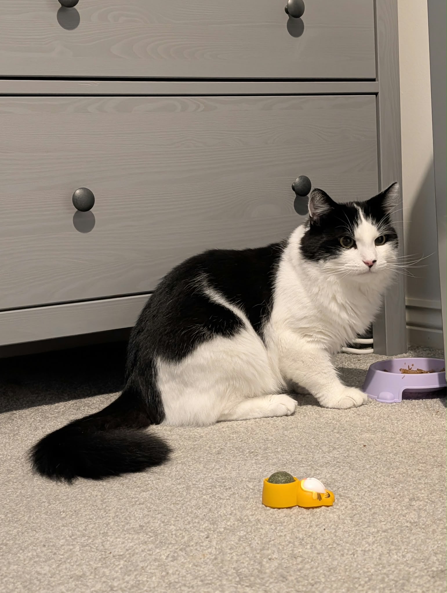 Oreo