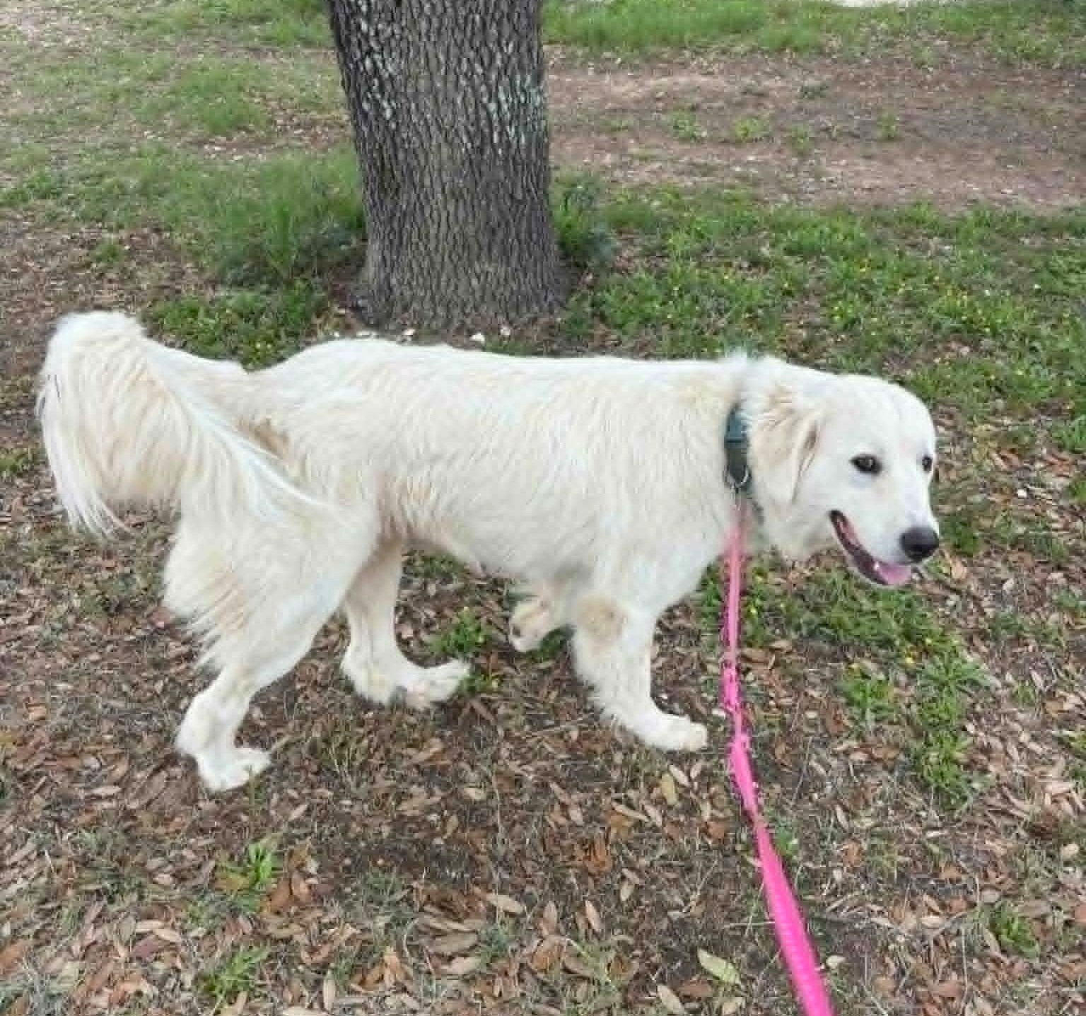 Delilah