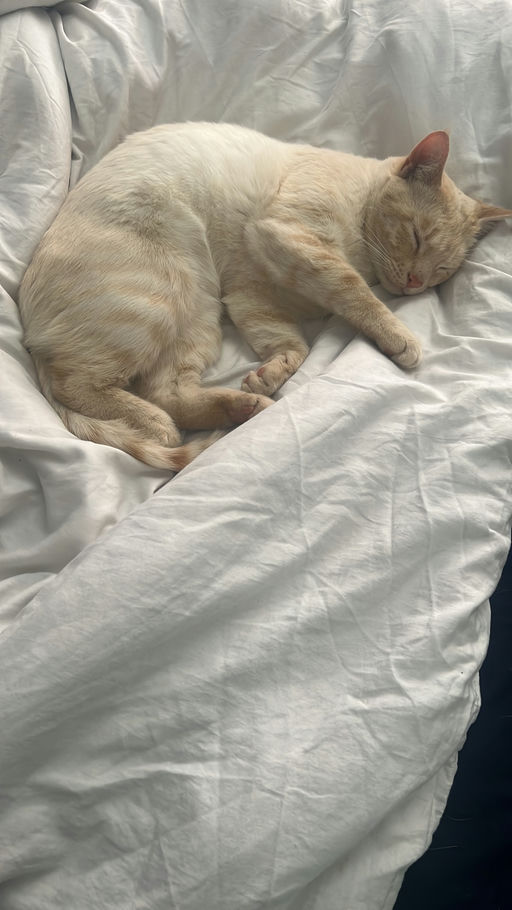 Leo