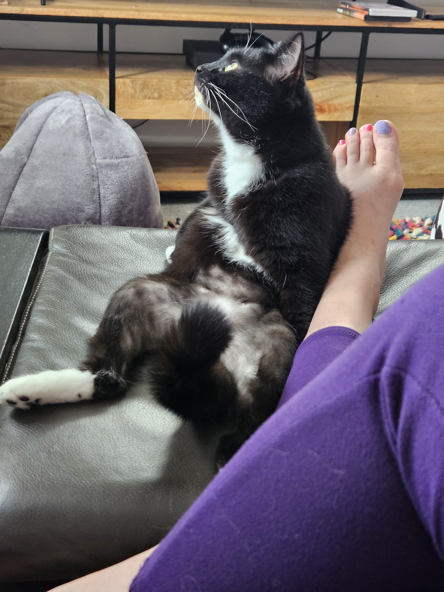 Luna