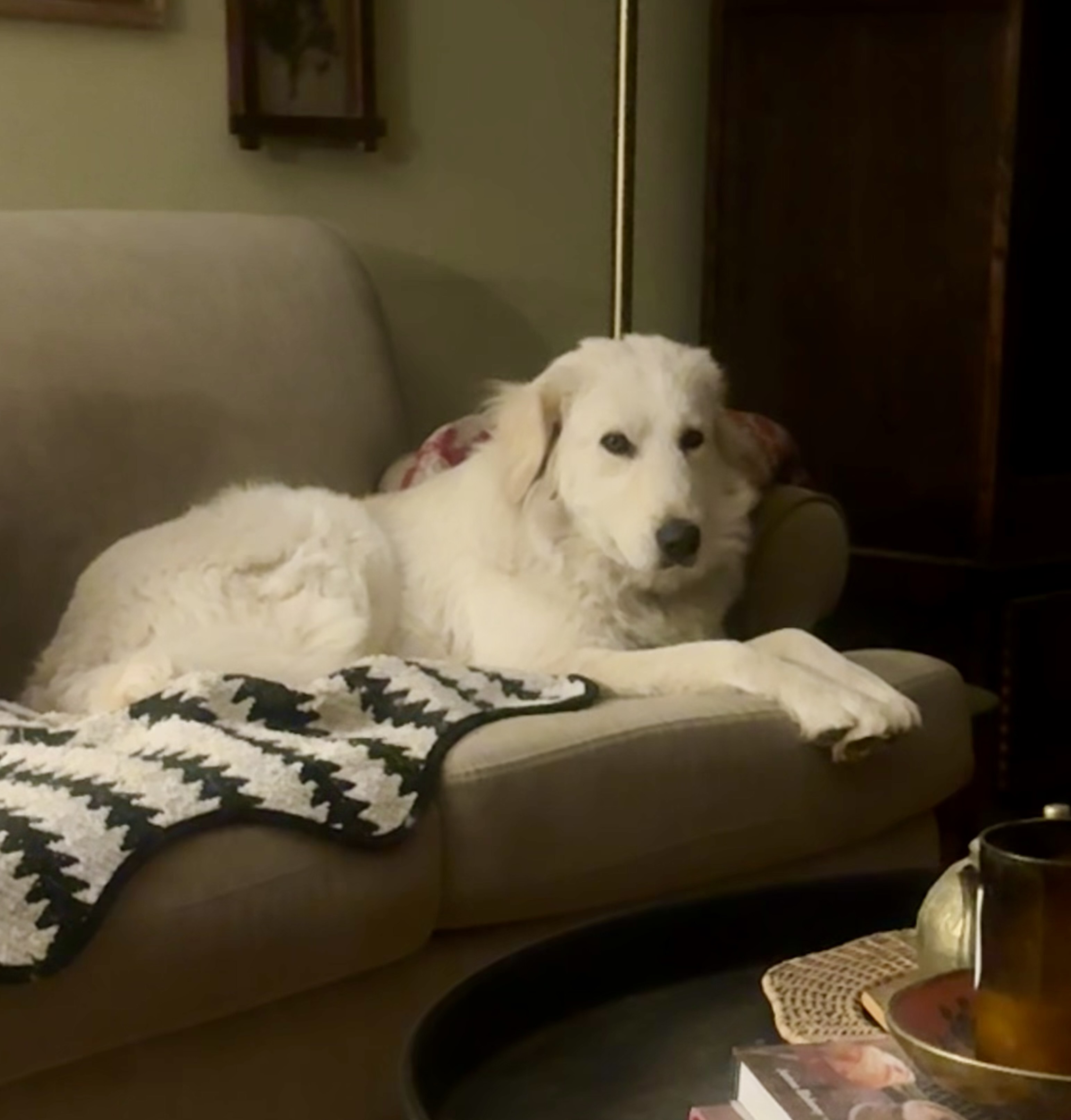 Chloe