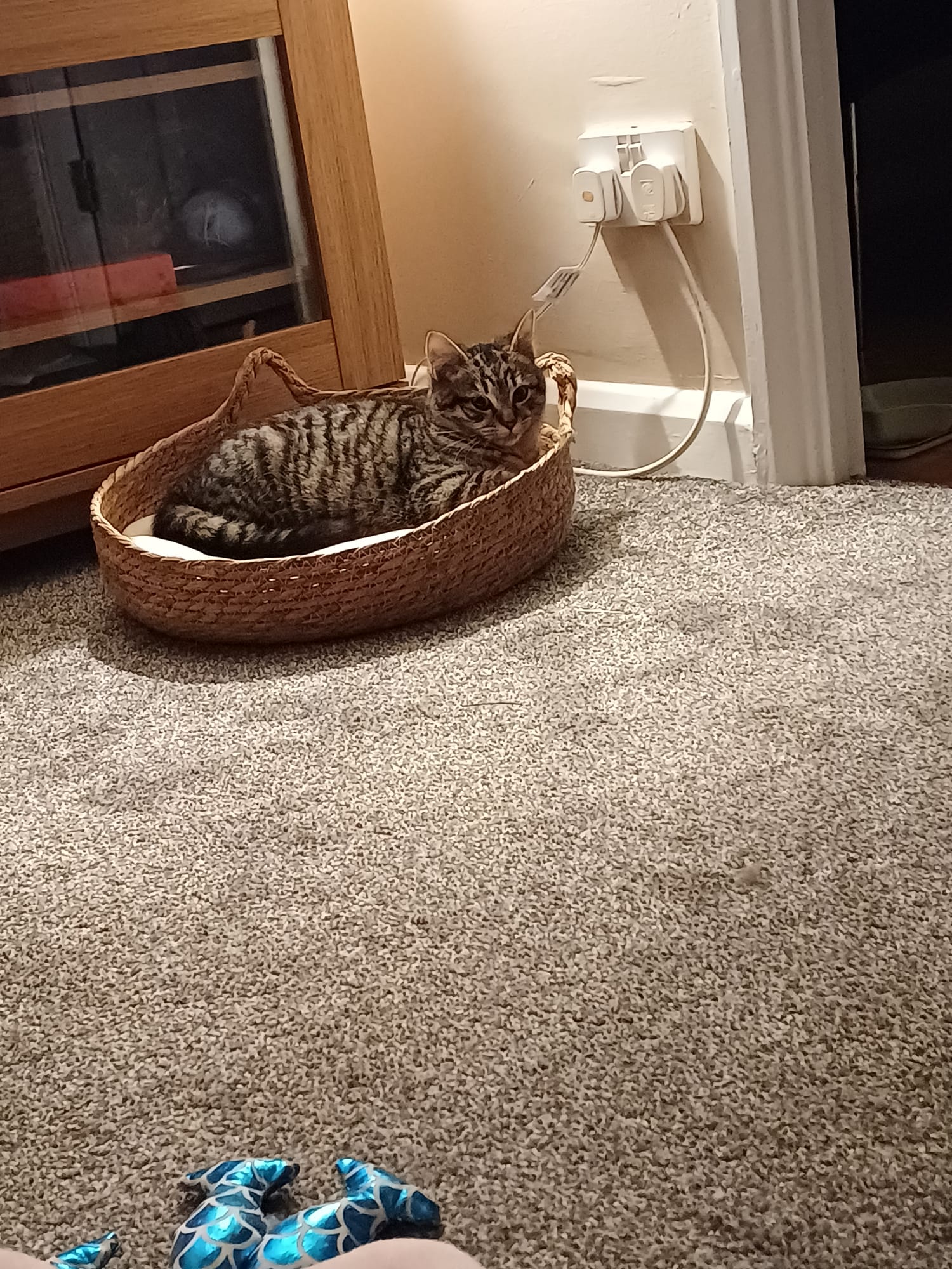 Nala