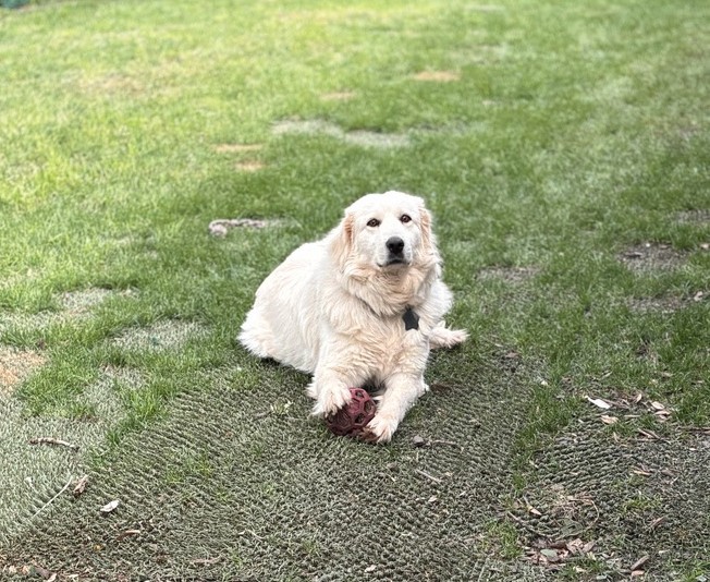 Chloe
